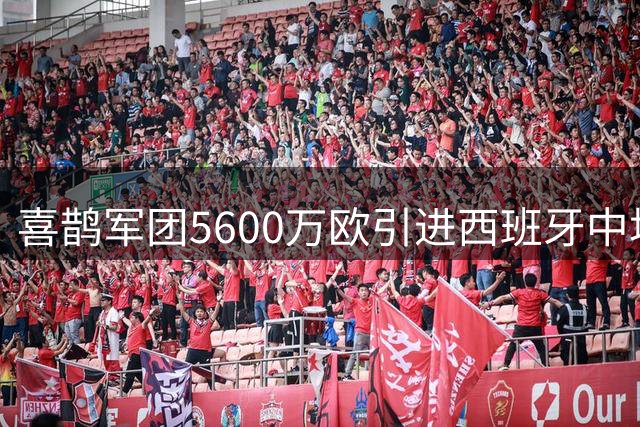 喜鹊军团5600万欧引进西班牙中场悍将